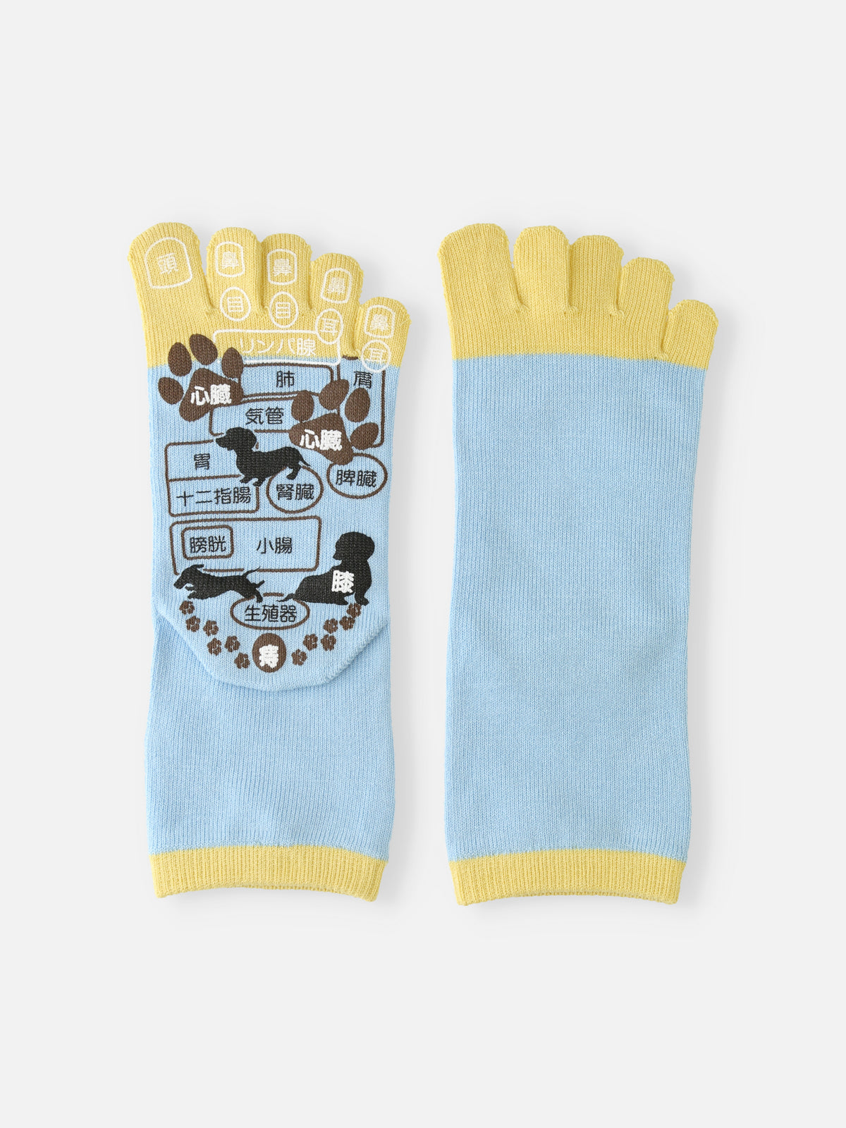 【WEB限定】五本指ツボ押し犬プリントソックスギフトセット / 22-24cm