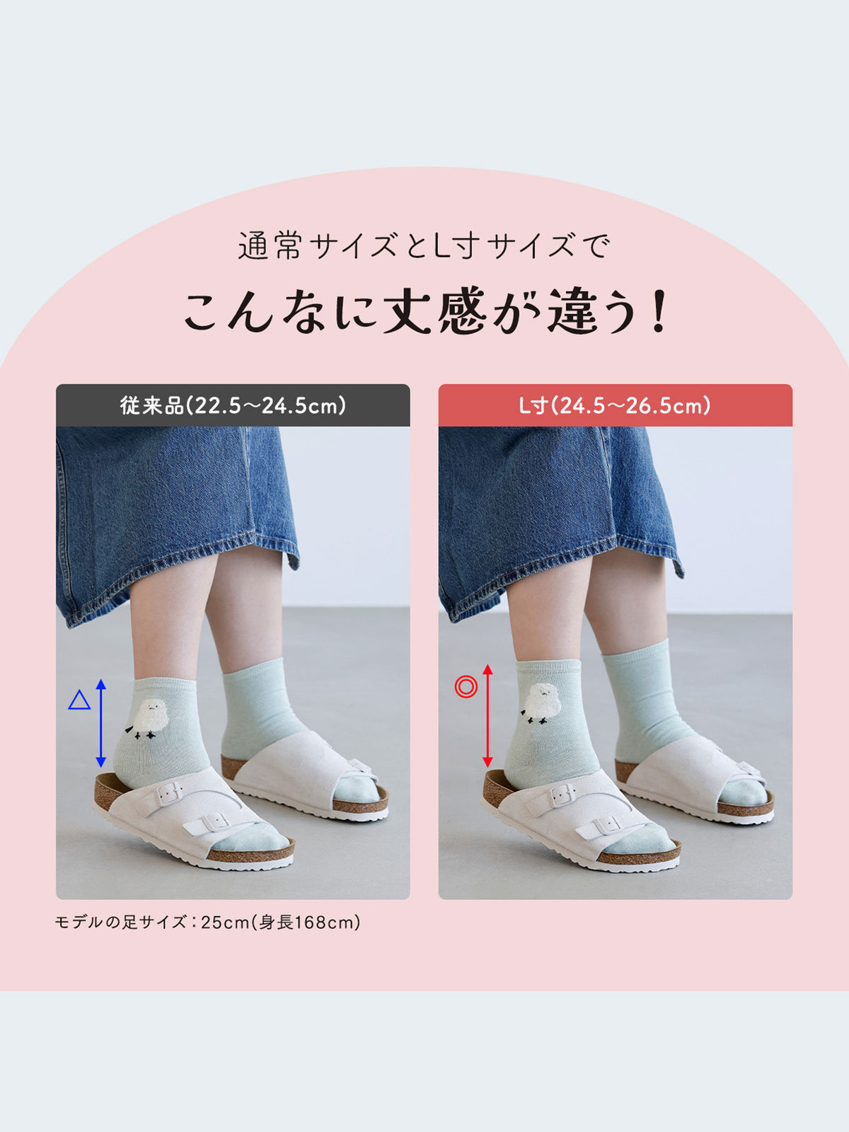 【おおきめサイズ】WEB限定 もふもふ動物ショートソックス 3足セット / 24.5-26.5cm