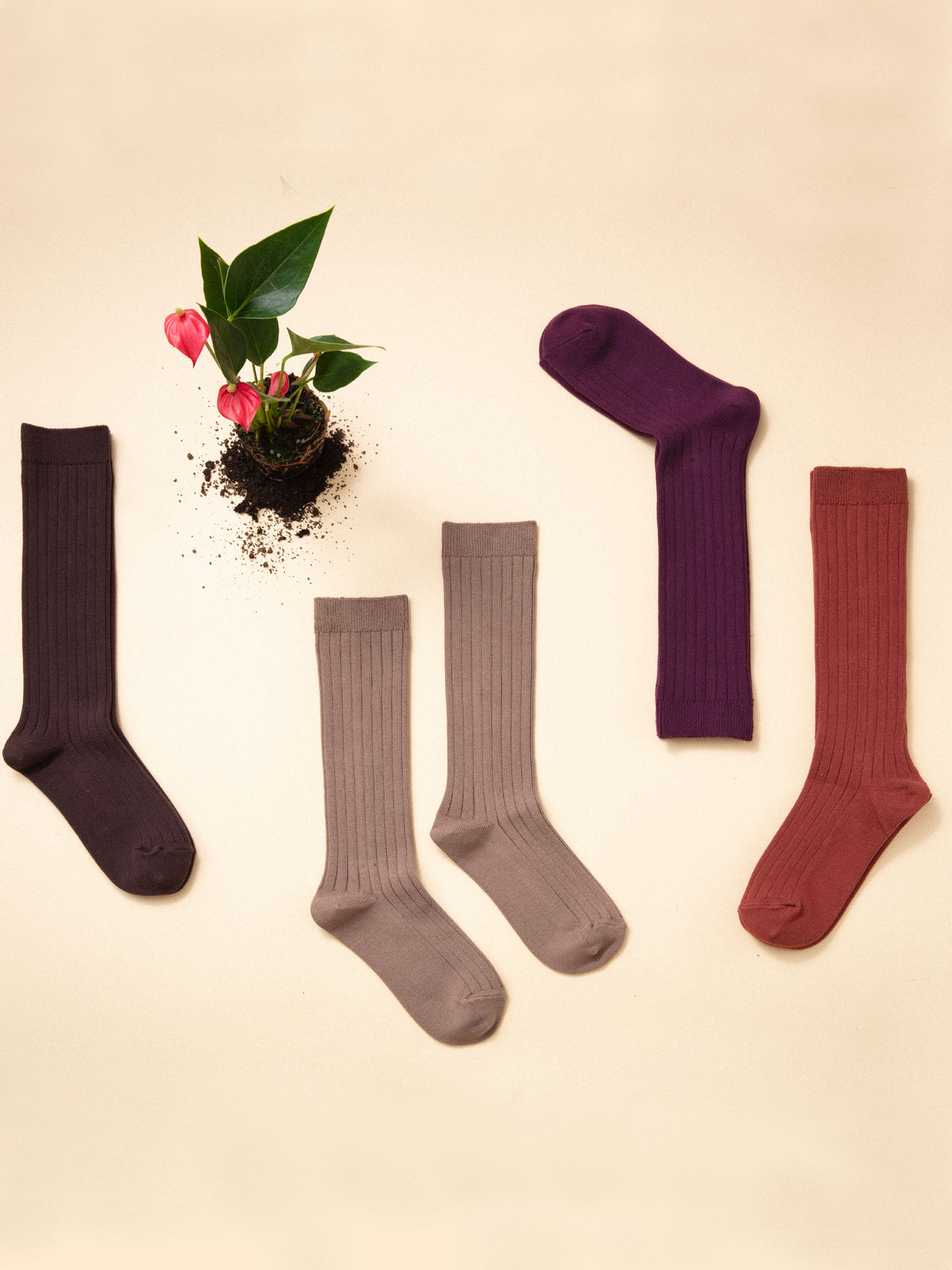 【キッズ】コットンリブハイソックス / 19-21cm