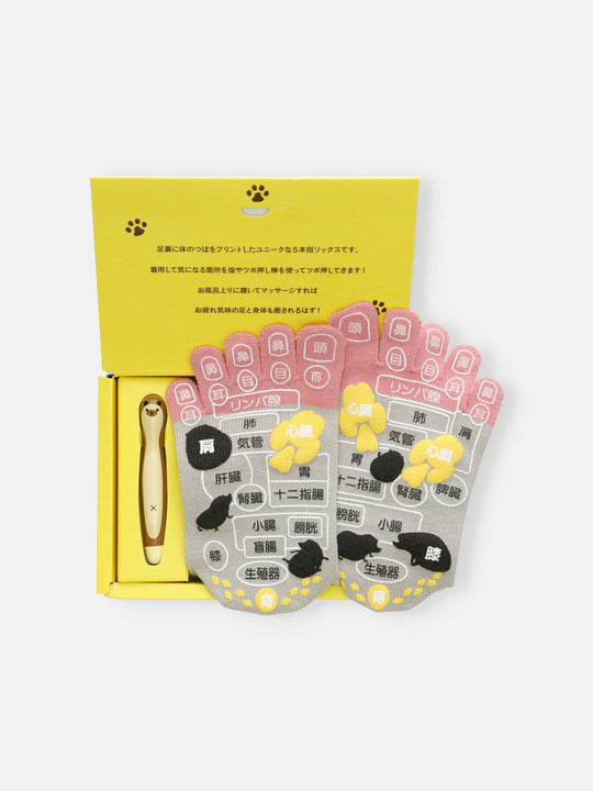 【WEB限定】五本指ツボ押しハリネズミプリントソックスギフトセット / 22-24㎝