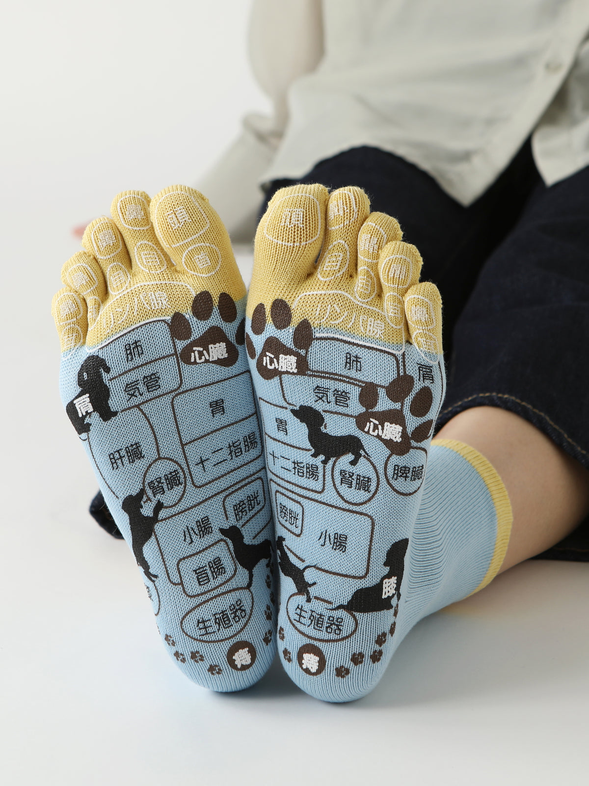 【WEB限定】五本指ツボ押し犬プリントソックスギフトセット / 22-24cm