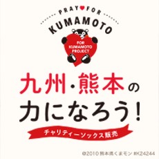 eyecatch_for_kumamoto