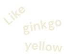 Like ginkgo yellow