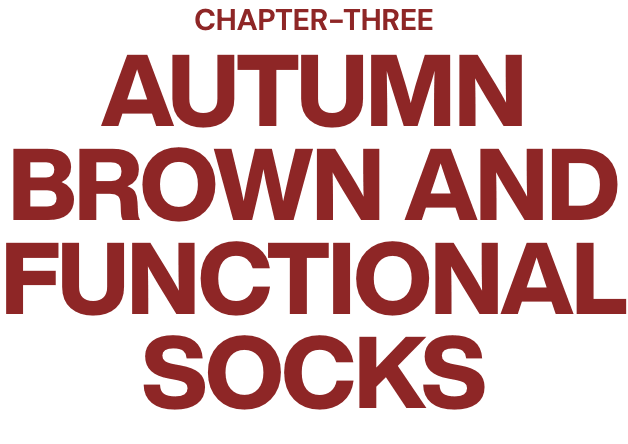 CHAPTER-THREE AUTUMN BROWN AND FUNCTIONAL SOCKS