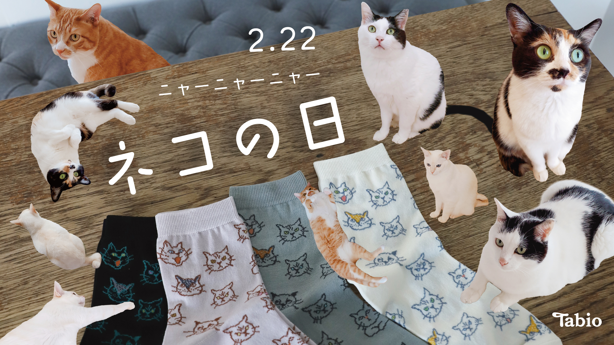 2月22日は猫の日 | 靴下屋公式通販 Tabio オンラインストア