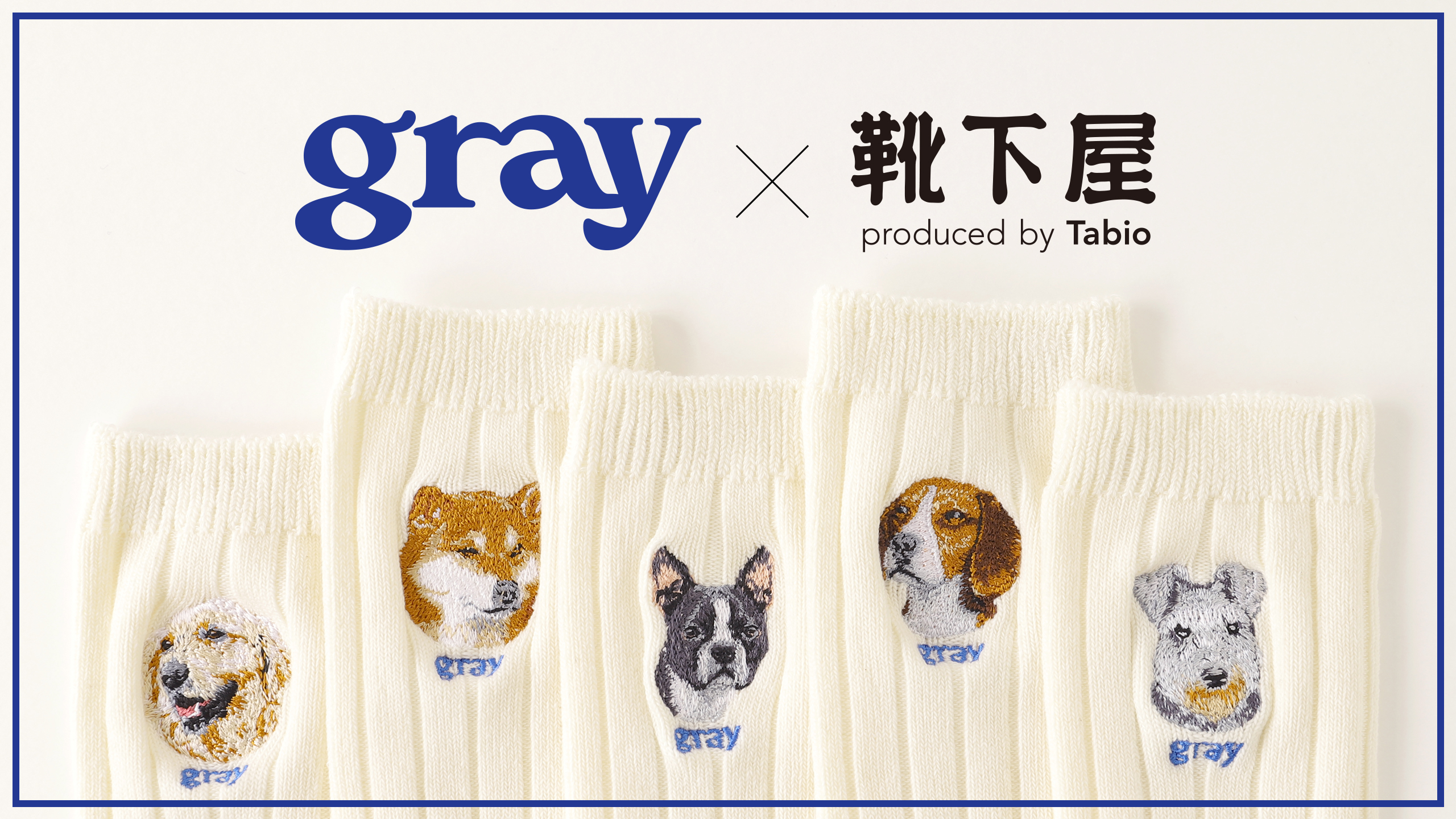 様々な犬種のデザインが人気の「gray」と靴下屋のコラボ刺繍ソックスが