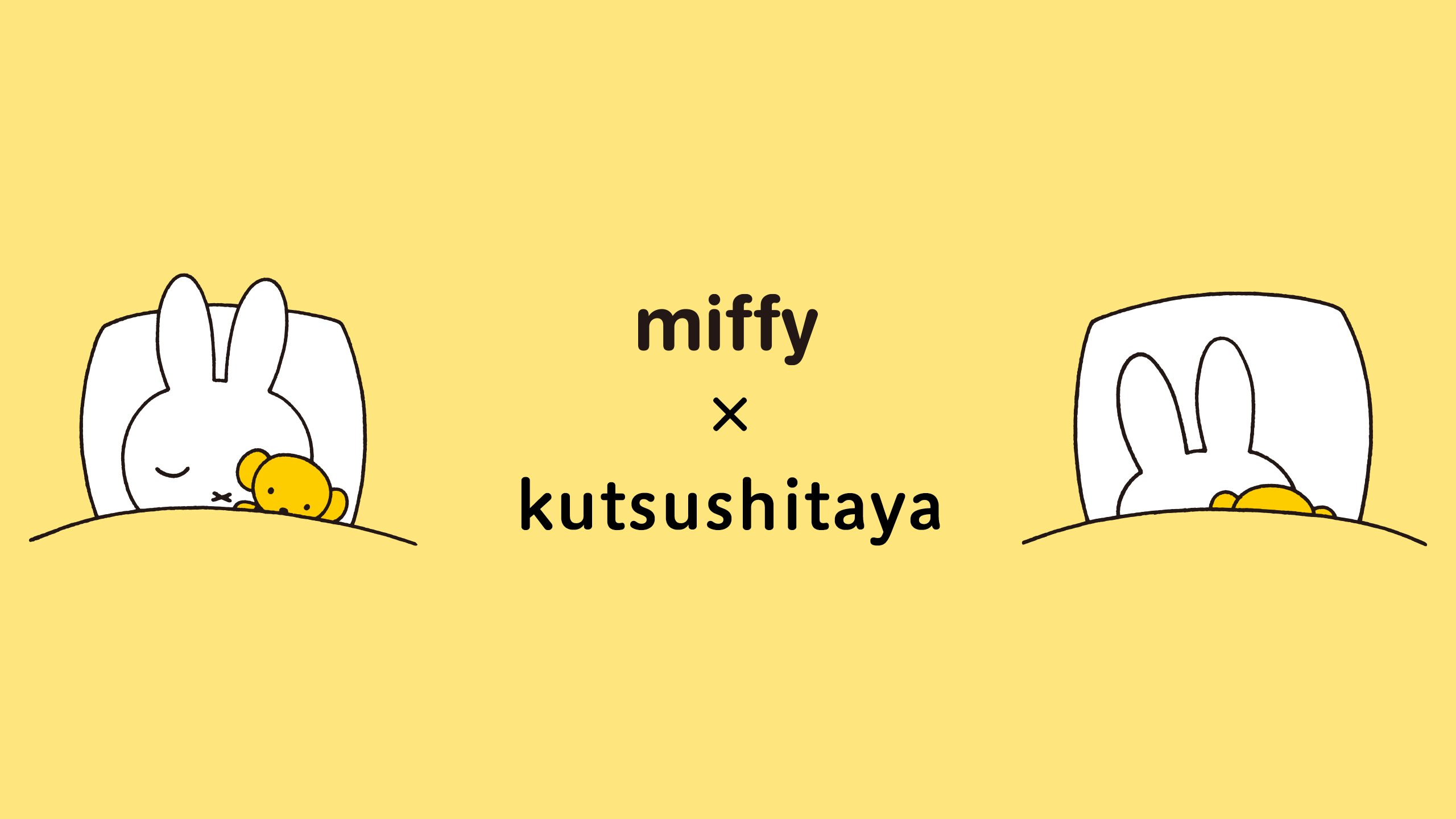 miffy × 靴下屋 | 靴下屋公式通販 Tabio オンラインストア