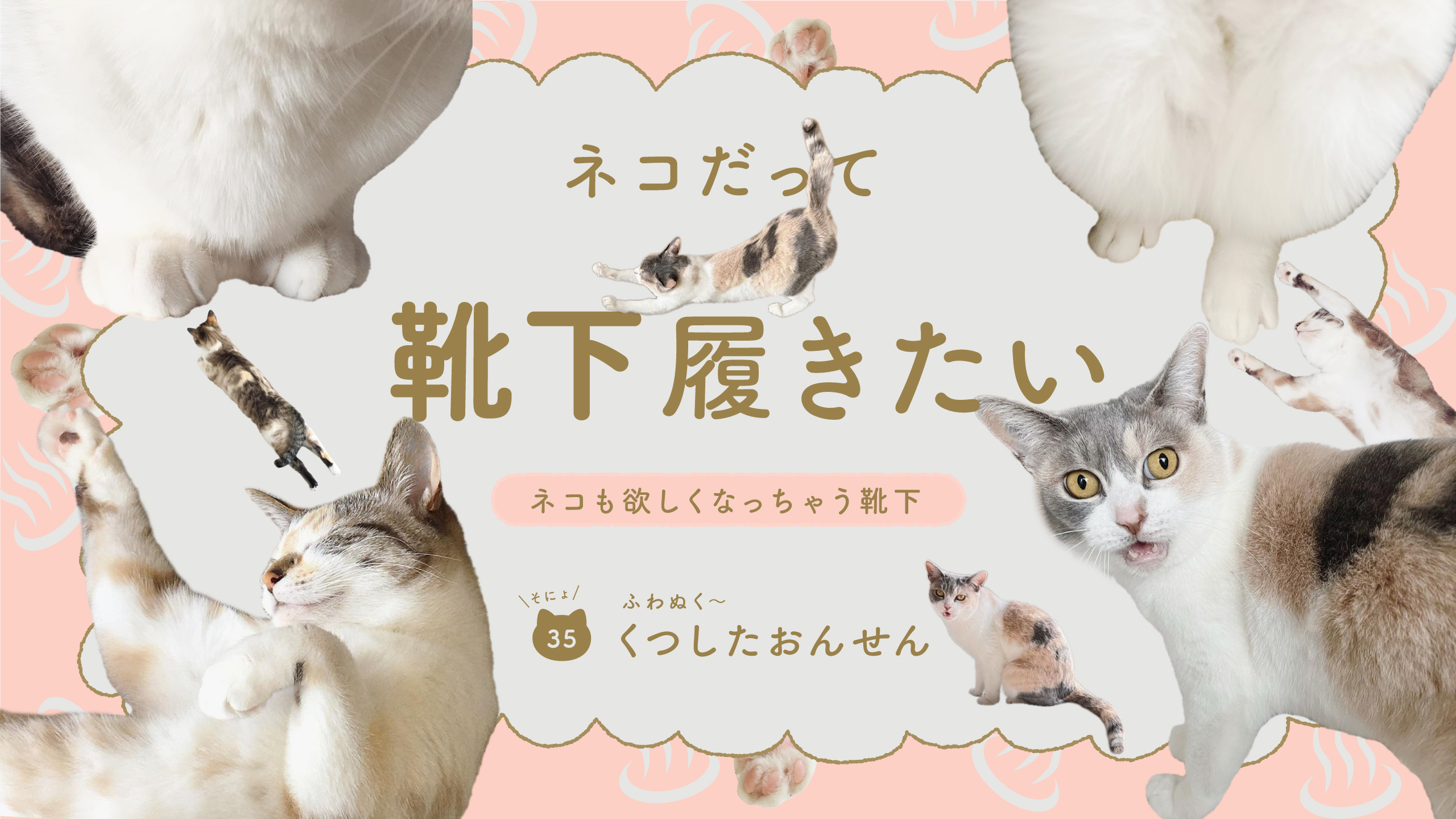 ネコだって靴下履きたい vol.35 | 靴下屋公式通販 Tabio オンラインストア