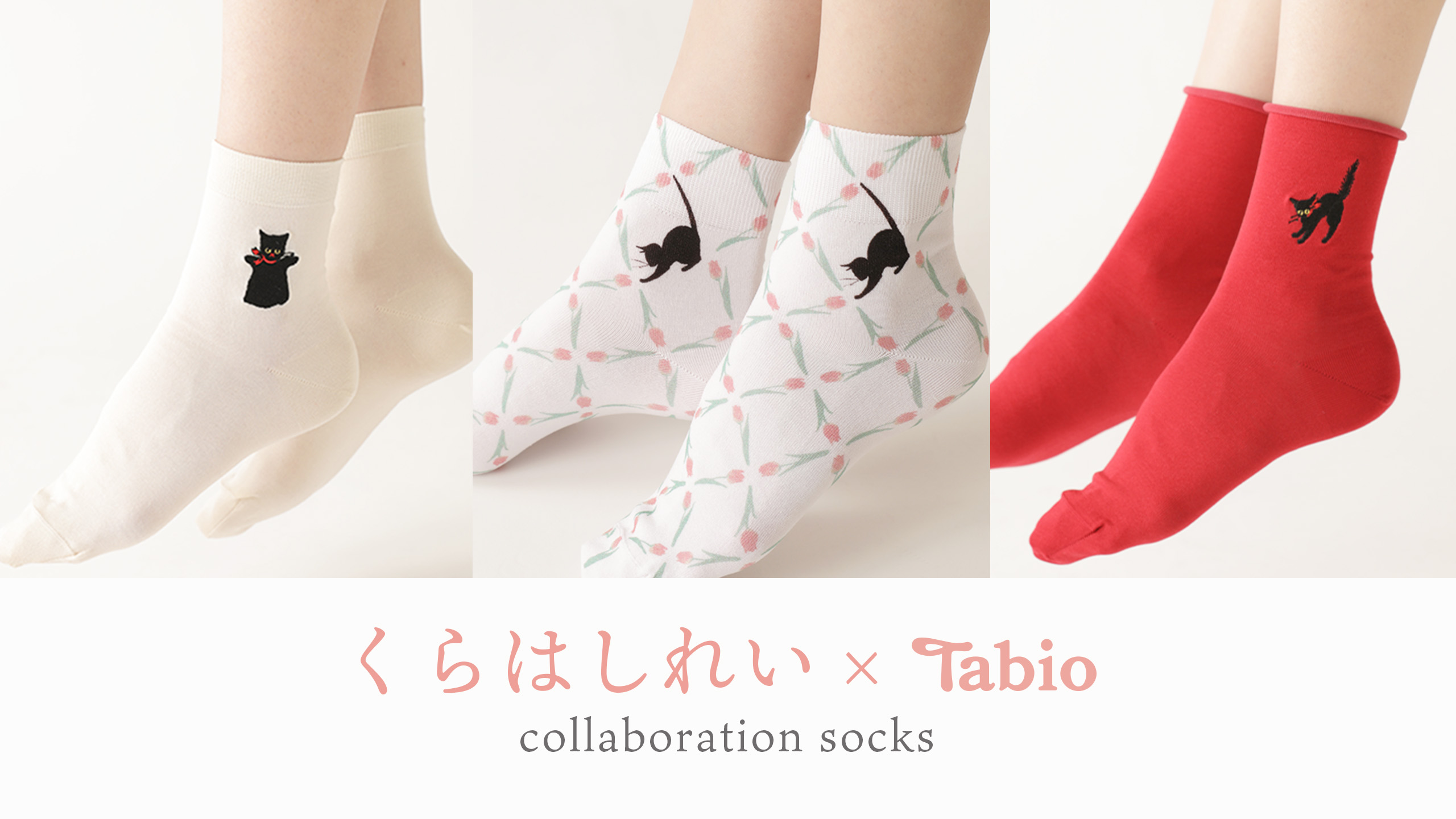 くらはしれい × Tabioコラボソックス | 靴下屋公式通販 Tabio