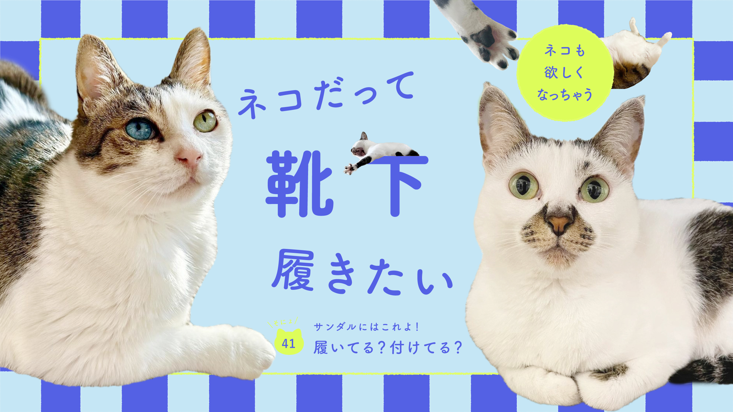 猫用オーバーオール服 ☆小型猫向け★ プレミアムスキンケアデニムオーバーオール for pets（小型犬