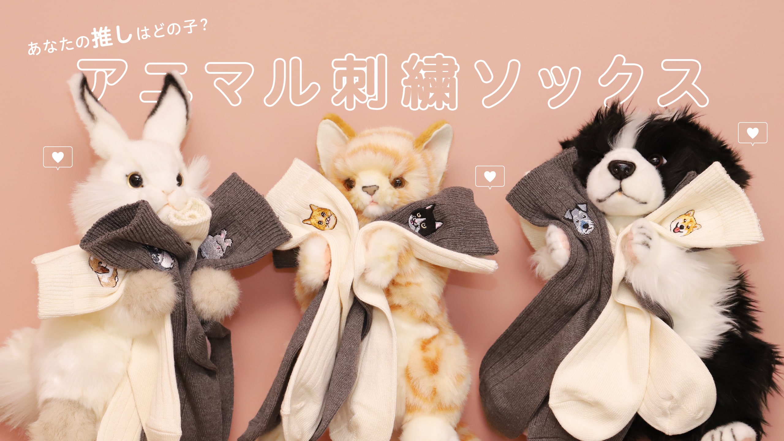 推しを見つけて！かわいい動物たちの刺繍ソックス | 靴下屋公式通販