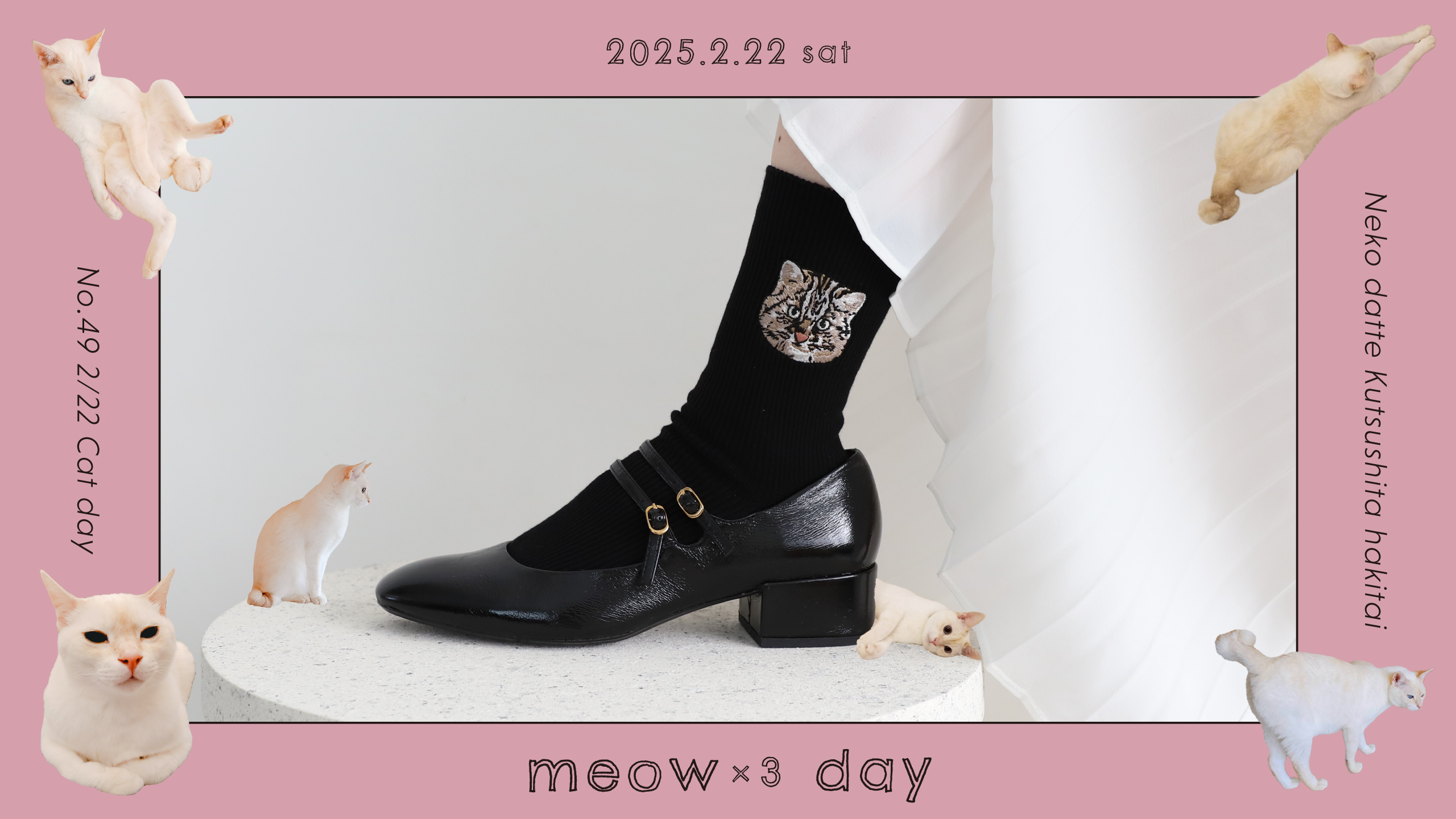 ネコだって靴下履きたい vol.49 | 靴下屋公式通販 Tabio