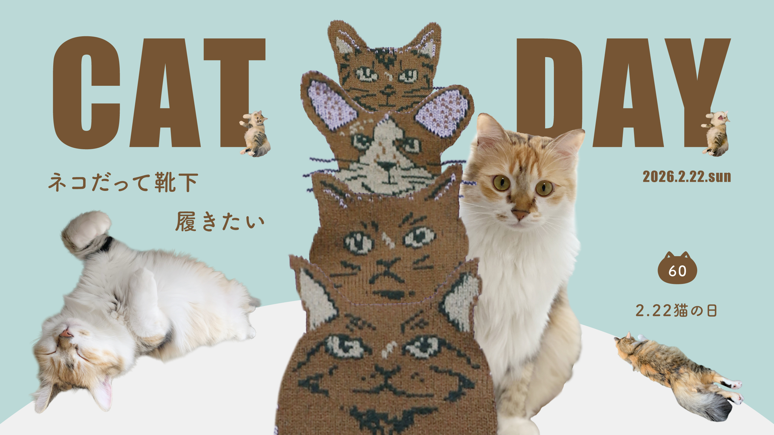 ネコだって靴下履きたい vol.60 | 靴下屋公式通販 Tabio オンラインストア