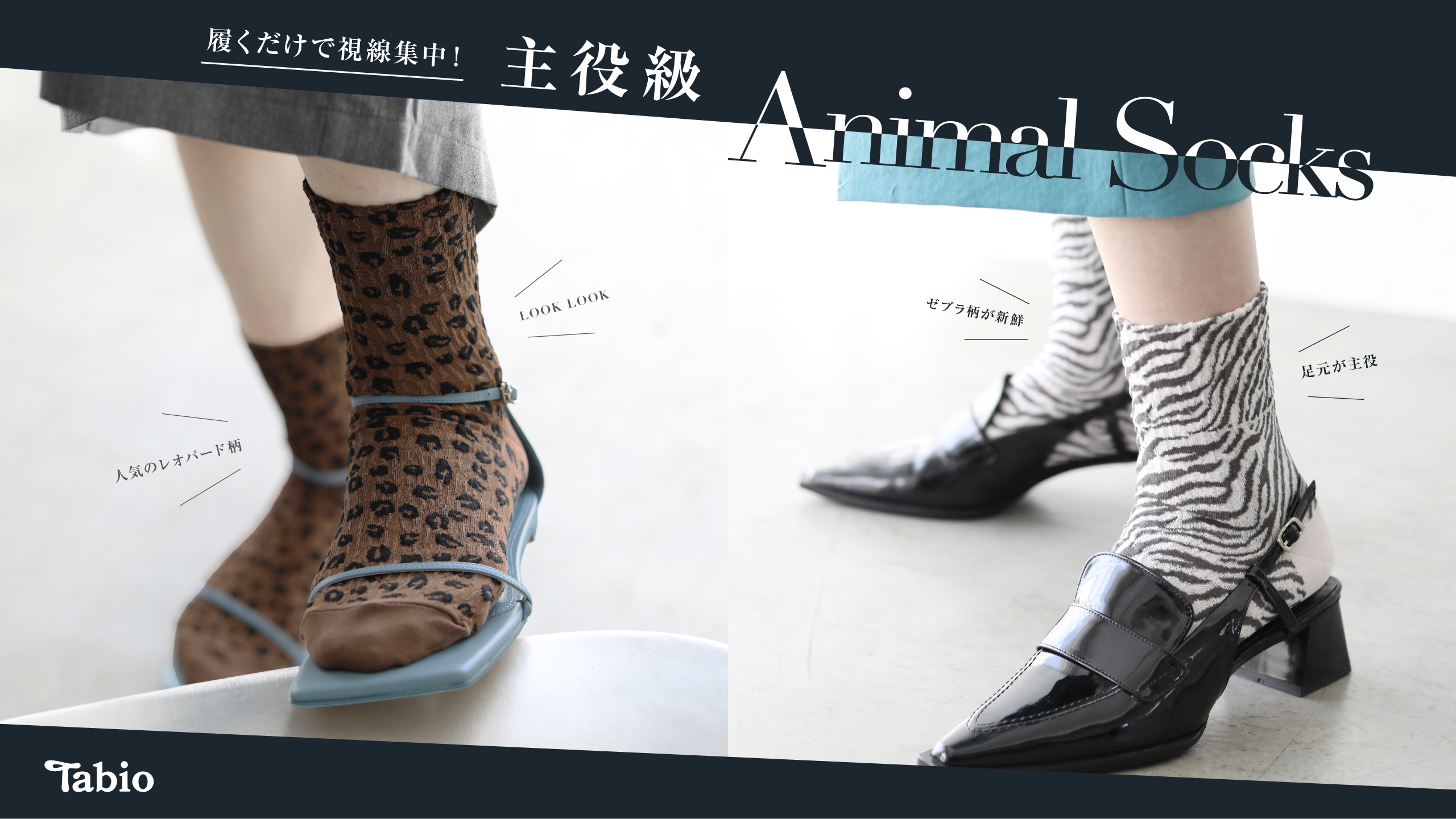 履くだけで視線集中！主役級 Animal Socks | 靴下屋公式通販 Tabio