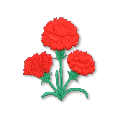 カーネーション