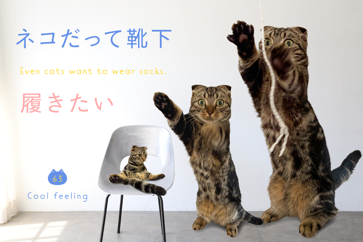 ネコだって靴下履きたい